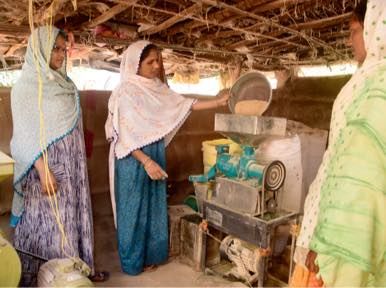 Developing Rural Economies