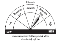 riskometer