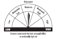 riskometer