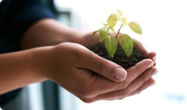 7 Things to Know Before Investing in an ELSS Fund