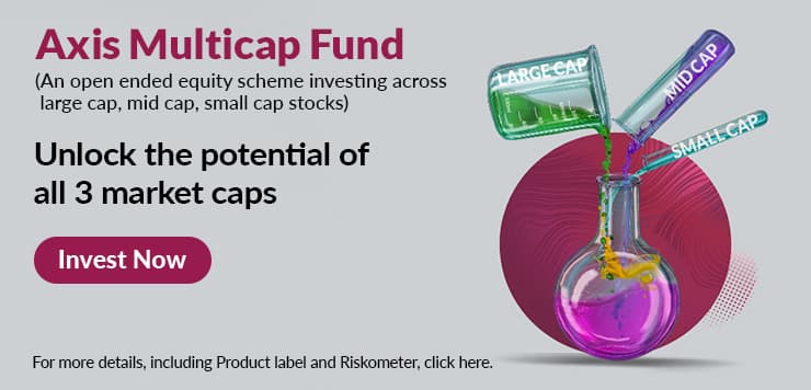 Axis Multicap Fund
