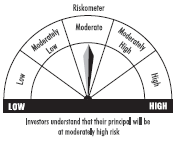 riskometer