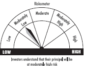riskometer